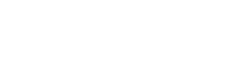 Item 1