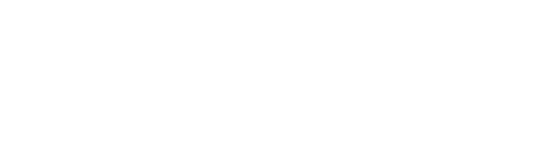 Item 1