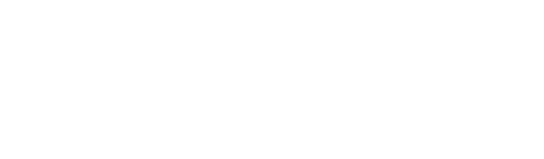 Item 1