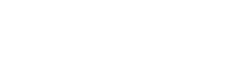 Item 1